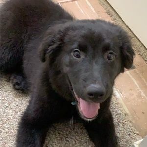 Meet your Posher, Angie